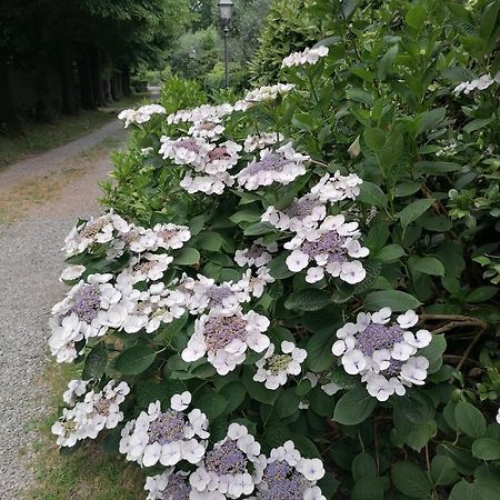 Lavanda Appartamento Vigliano Biellese Exteriör bild